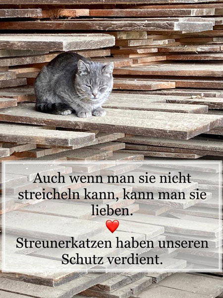 Streuner